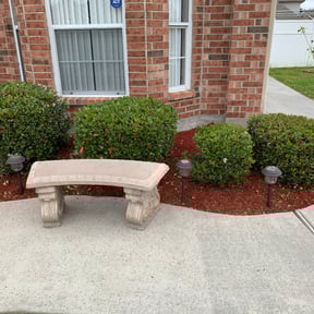 Bush Trimming by B&M Paradise services LLC reviewed on August 18, 2025