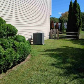 Bush Trimming by Ohio grass barbers reviewed on October 22, 2025