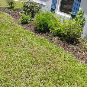 Flower Bed Weeding by J. Hill's Lawn Service reviewed on July 8, 2026