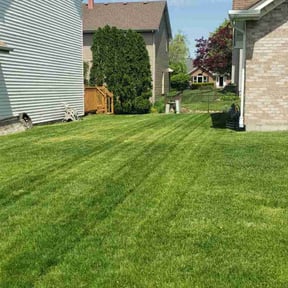 yard service by Sun city lawn care reviewed on August 18, 2025