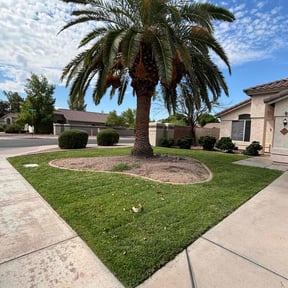 lawn care by Lawnpros reviewed on August 4, 2024