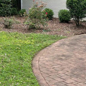 Bush Trimming by Lisa James Contracting LLC reviewed on August 21, 2025