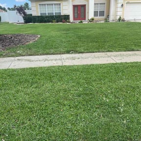 landscape maintenance by Vb lawn service reviewed on August 19, 2025