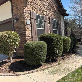 Bush Trimming by TOMS - Total Outdoor Maintenance reviewed on March 17, 2026