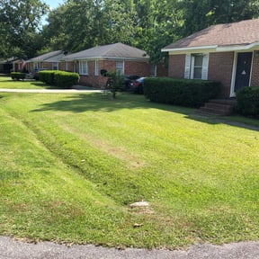 Bush Trimming by River City Lawn Service reviewed on August 17, 2025