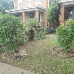 Bush Trimming by L&M landscaping reviewed on August 18, 2025