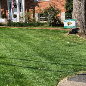 landscaping by José Resendiz reviewed on August 19, 2025