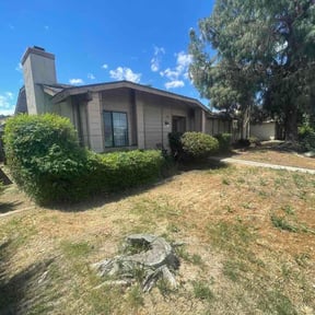 Bush Trimming by Absolute lawn care llc reviewed on April 15, 2026