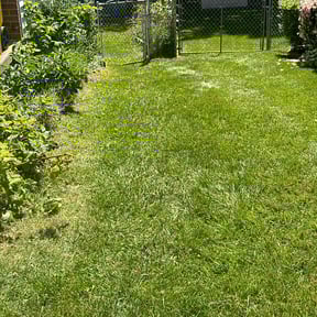 lawn care by J and son lawn reviewed on October 4, 2023