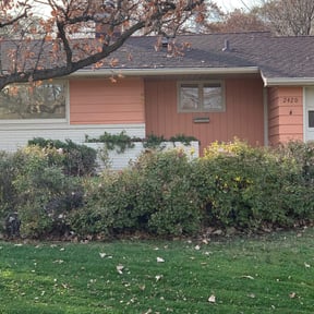 Leaf Removal by Steady Operation Enterprises LLC reviewed on August 17, 2025