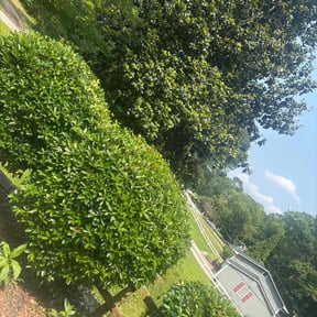 Bush Trimming by The Wright Lawn Care reviewed on August 21, 2025