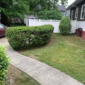 Bush Trimming by Kings Landscaping Lawn Care LLC reviewed on August 19, 2025