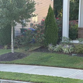 landscape maintenance by Keen Masonry reviewed on November 23, 2025