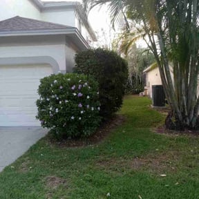 Bush Trimming by On Time Handyman Full Service reviewed on August 16, 2025