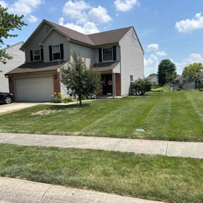 landscaping by Trevor Hall reviewed on August 16, 2025