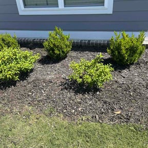 Flower Bed Weeding by Lincoln Property Preservations LLC reviewed on May 16, 2026