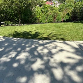 yard service by AMERICA'S BEST LAWN SERVICE LLC reviewed on August 17, 2025