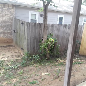 Bush Trimming by Brothers Martinez reviewed on February 12, 2024