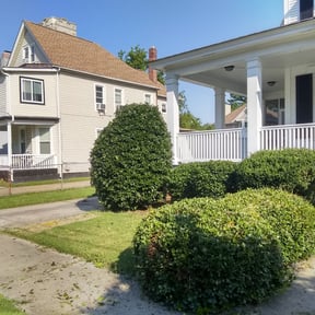 Bush Trimming by G E D Services LLC reviewed on October 17, 2023