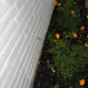 Flower Bed Weeding by Extreme lawn care reviewed on June 8, 2026