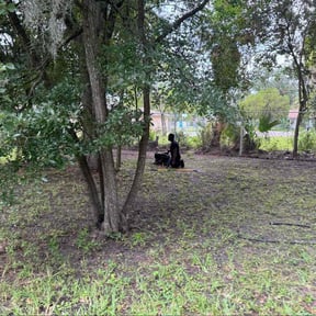 Leaf Removal by Freedom Services reviewed on September 23, 2025