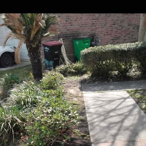 Bush Trimming by Fazal Management Group LLC reviewed on April 19, 2024