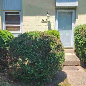 Bush Trimming by MMS Lawncare and Landscaping reviewed on June 6, 2026