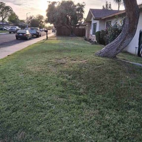 Bush Trimming by Perez Landscaping reviewed on March 29, 2026