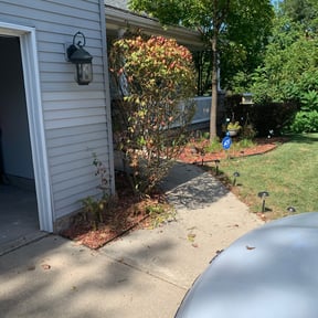 Bush Trimming by JNGLandscaping LLC reviewed on June 4, 2024