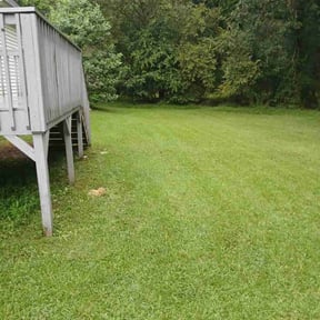 lawn care by 3ab Maintenance reviewed on November 3, 2023