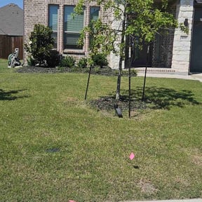 yard care by Jasun Creations reviewed on October 5, 2024