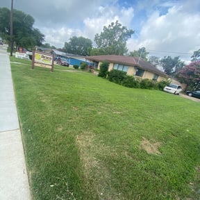 Bush Trimming by Diamond Landscape of Florida reviewed on November 9, 2017