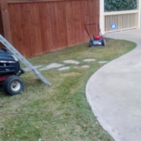 Leaf Removal by House Perfect reviewed on September 26, 2025