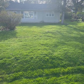 residential landscaping by Emanuel Lawn Mowing LLC reviewed on August 16, 2025