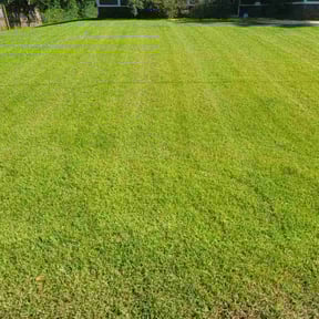 gardening service by C&Cgrasscutters reviewed on August 19, 2025