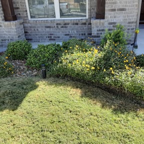 Bush Trimming by David's Landscaping reviewed on August 19, 2025