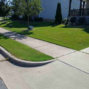 residential landscaping by Reynoso's Fencing & Lawn Care reviewed on August 17, 2025