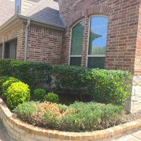 Bush Trimming by J & A lawn Maintenance LLC reviewed on August 18, 2025
