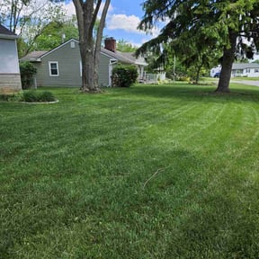 yard maintenance by Born Again Enterprises LLC reviewed on December 1, 2025