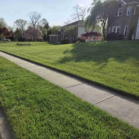 landscaping by Paz Lawn Care LLC reviewed on August 13, 2025