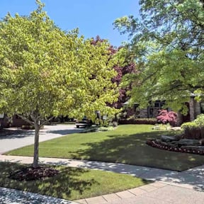 yard maintenance by Caribbeanstylecleaning &amp;more reviewed on November 24, 2025