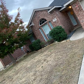 Bush Trimming by Just Cuts Lawn Care reviewed on August 18, 2025