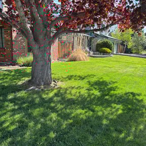 gardening service by Lawn Enforcement Lawn Care LLC reviewed on August 20, 2025