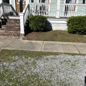 Bush Trimming by Grass cutting jeff reviewed on August 17, 2025