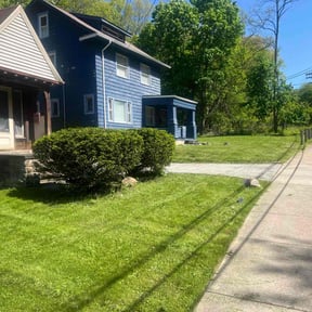 Bush Trimming by Menace Pros reviewed on August 19, 2025