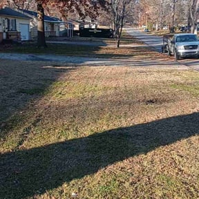 Leaf Removal by TNA Home Services reviewed on August 20, 2025
