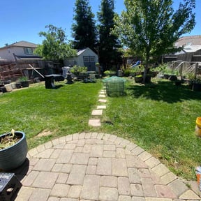 lawn care services by N.A.l Landscaping Services reviewed on August 16, 2025