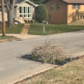 Bush Trimming by Woods Property PreservationLLC reviewed on August 16, 2025