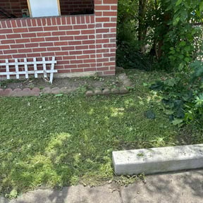 Bush Trimming by Best Green Area reviewed on August 19, 2025