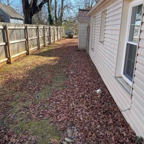 Leaf Removal by To The Rescue Landscaping and Hurricane Clean Up reviewed on September 19, 2025